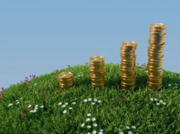 Maximize investments