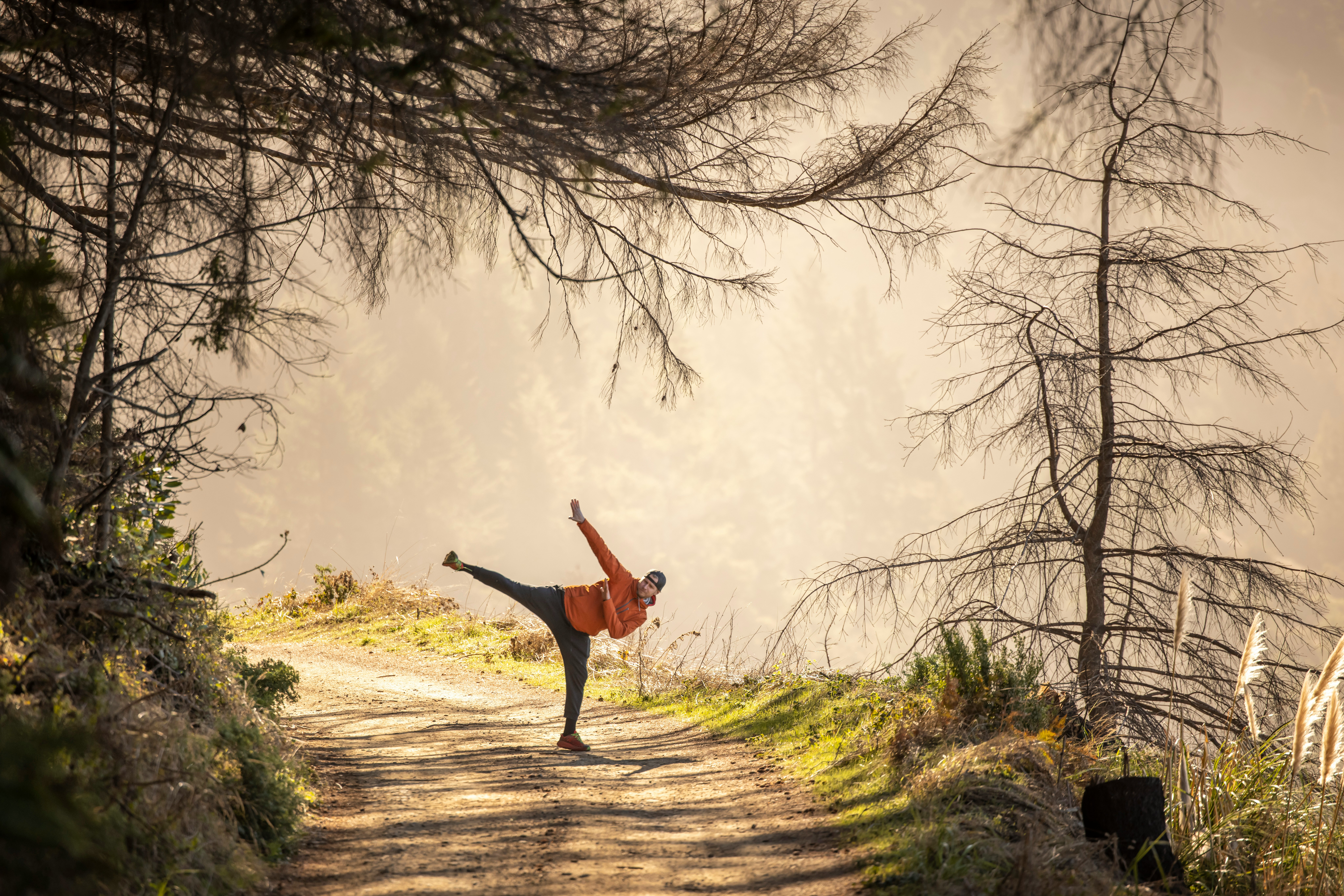 Building Balance How Fitness and Wellness Create a Path to Lasting Health