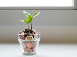 Financial