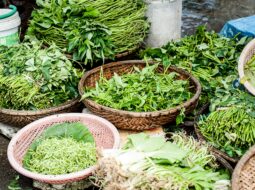 Harnessing the Natural Power of Raw Plant-Based Diets for Optimal Health