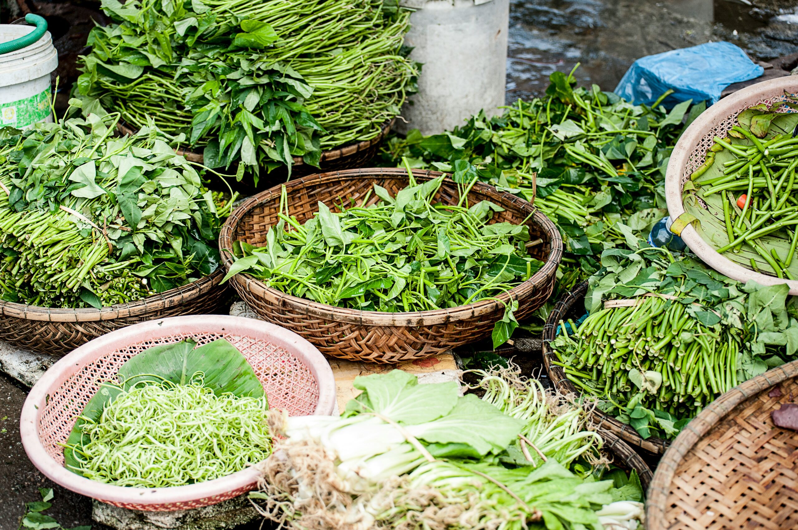 Harnessing the Natural Power of Raw Plant-Based Diets for Optimal Health