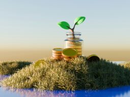 A Beginner’s Guide to Investing Building Wealth and Financial Independence