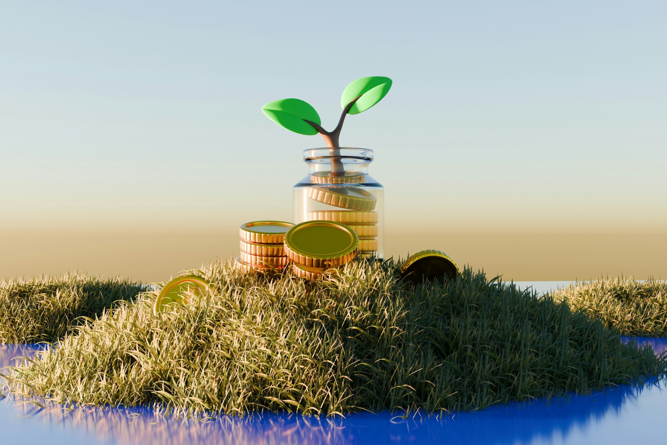 A Beginner’s Guide to Investing Building Wealth and Financial Independence