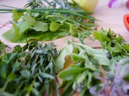 Millicent Prince - Raw Plant